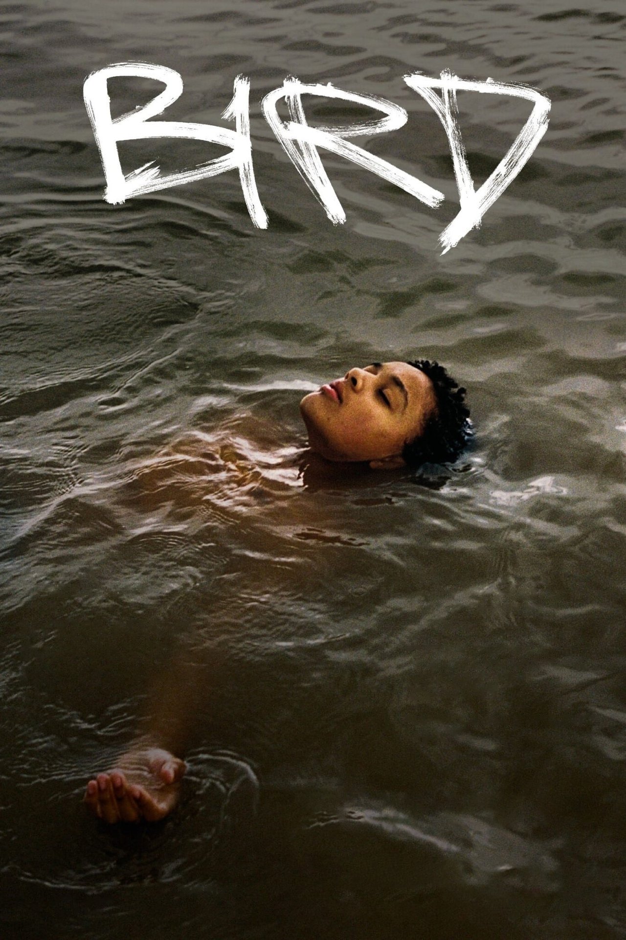 دانلود فیلم Bird با زیر نویس فارسی