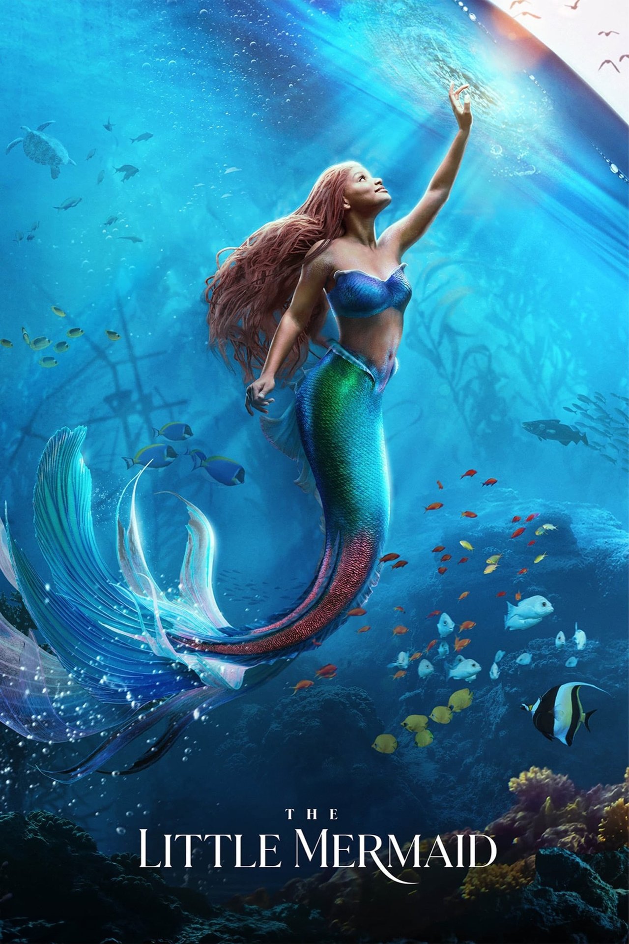 دانلود فیلم The Little Mermaid با زیر نویس فارسی