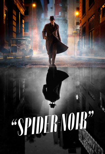 پوستر سریال Spider-Noir